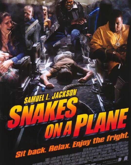 Snakes on a Plane : Movie Review