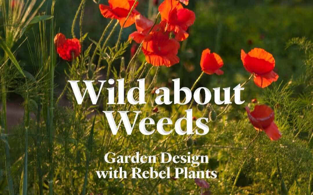 Wild about Weeds by Jack Wallington : Book Review by Kim