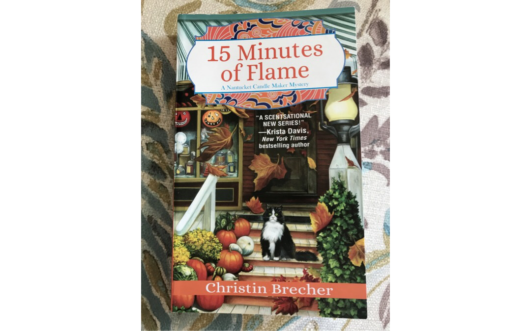 15 Minutes of Flame by Christin Brecher : Book Review
