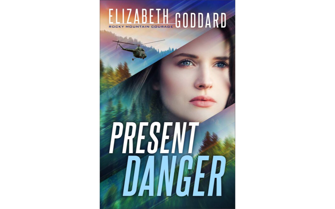 Present Danger by Elizabeth Goddard : Book Review