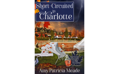 Short-Circuited in Charlotte by Amy Patricia Meade : Book Review